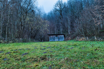 A small hut in a forest clearing in autumn