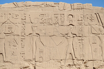 Ancient egyptian carvings and hyroglyphs at Karnak temple in Luxor, Egypt 