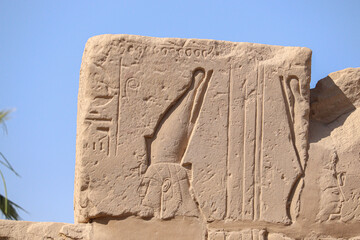 Ancient egyptian carvings and hyroglyphs at Karnak temple in Luxor, Egypt 