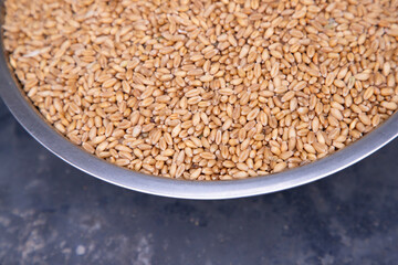 Wheat grains in a metal bowl on a dark background closeup