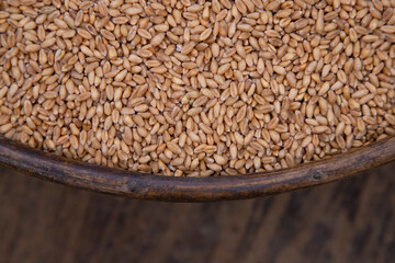 Wheat grains in a bowl on a wooden background, top view