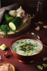 A bowl with Tarator cold soup - traditional Bulgarian dish