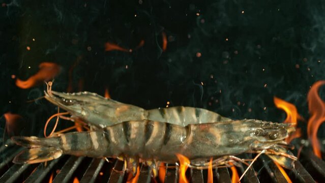 Super Slow Motion Shot of Falling Tiger Prawns on Cast Iron Grate with Fire Flames. Filmed on High Speed Cinematic Camera at 1000 FPS.