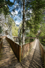 Horma Canyon, Kure Mountains National Park. Kastamonu, Turkiye.