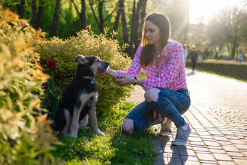 Beautiful young woman playing with her young dog in the park outdoors. Life style portrait.