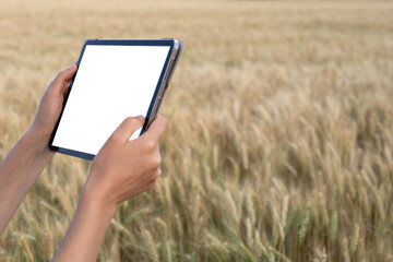 woman holding a digital tablet at farming field