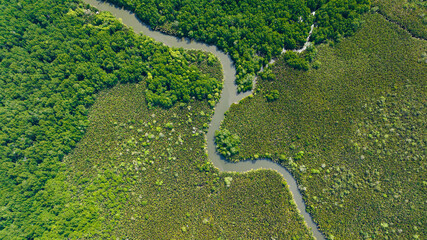 Aerial drone of mangroves and rainforest on the island of Borneo. Malaysia.