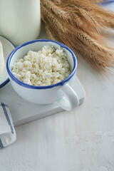 Shavuot jewish holiday celebration. Kosher fresh dairy products milk and cheese, ripe wheat, cream on white wooden background. Dairy products over white wooden background. Shavuot concept. Top view.