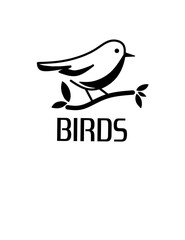 Fototapeta premium bird on a branch