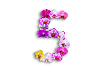 The shape of the number 5 is made of various kinds of orchid flowers. suitable for birthday, anniversary and memorial day templates
