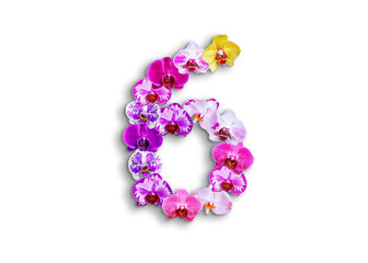 The shape of the number 6 is made of various kinds of orchid flowers. suitable for birthday, anniversary and memorial day templates