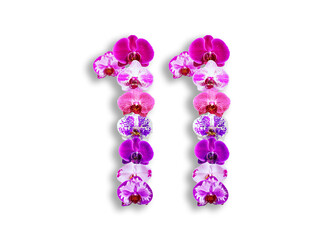The shape of the number 11 is made of various kinds of orchid flowers. suitable for birthday, anniversary and memorial day templates