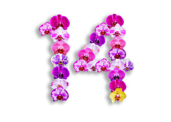 The shape of the number 14 is made of various kinds of orchid flowers. suitable for birthday, anniversary and memorial day templates