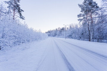 Winter evening forest with road covered with snow