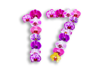 The shape of the number 17 is made of various kinds of orchid flowers. suitable for birthday, anniversary and memorial day templates