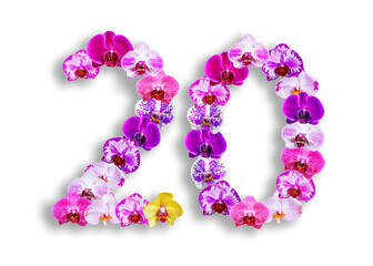 The shape of the number 20 is made of various kinds of orchid flowers. suitable for birthday, anniversary and memorial day templates