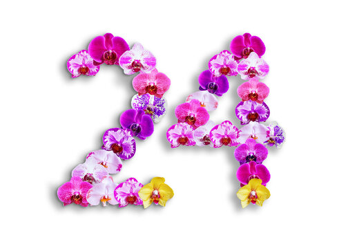 The shape of the number 24 is made of various kinds of orchid flowers. suitable for birthday, anniversary and memorial day templates