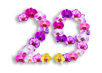 The shape of the number 29 is made of various kinds of orchid flowers. suitable for birthday, anniversary and memorial day templates