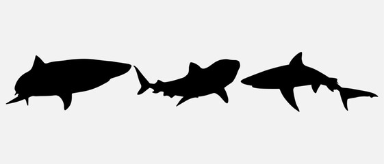 isolated black silhouette of a shark, vector collection