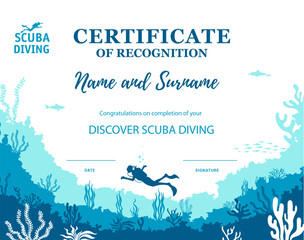 Diver certificate, diving club diploma template. Diving sport competition winning diploma, profession graduation or qualification achievement vector certificate with seaweed silhouette on ocean bottom - obrazy, fototapety, plakaty