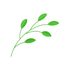 Botanical greenery organic tree branch natural summer spring bio plant 3d icon realistic vector