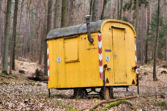 Gelber Bauwagen im Wald