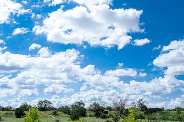 Panoramic blue clear sky and a green field