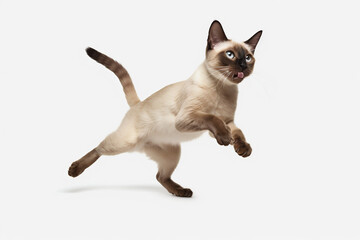 Siamese cat jumping on a white background. Banner concept for petshops and pet niche ecommerce. Generative AI