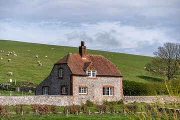 Fototapeta na wymiar Rural English Farm House with sheep