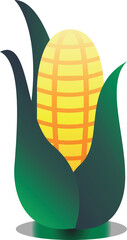 illustration of corn