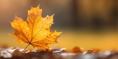 Fototapeta premium autumn leaf with generative ai
