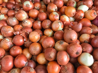 Onion widely used for food seasonings.
Bulb bulb vegetable filling the whole frame.