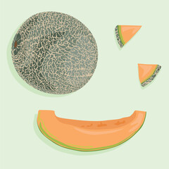 Whole green melon, cut into wedges and triangular melon wedges. Summer fruit icons in vector.