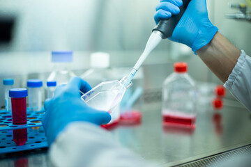 cell culture at the safety cabinet