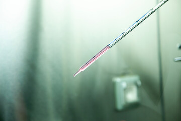 cell culture at the safety cabinet