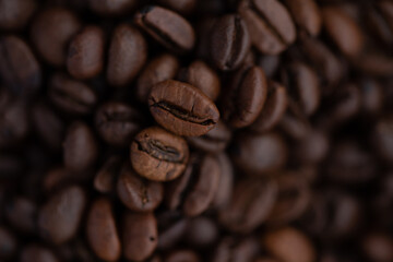 Macro shot of whole beans