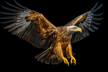 an eagle with its wings open flying over the dark background, in the style of dark yellow and light beige, national geographic photo, hurufiyya
