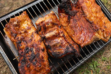 Close Up Grilled Rack Of Pork Ribs. Meat Barbecue In Camping Park, Forest. Meat On Metal Grille No Waste Healthy Eating Picnic In Summer, Spring Time. Horizontal Plane. 