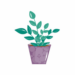 House plant and flower pot. Flowerpot in flat style.  illustration green plant in pot