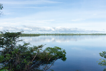 Fototapeta na wymiar Vista do rio negro na floresta amazônica.