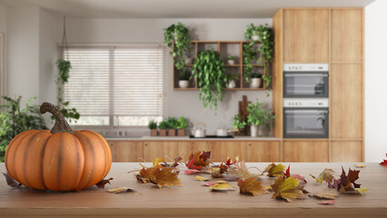 Autumn pumpkins still life on wooden table. Thanksgiving Halloween decoration over interior design scene. Wooden modern kitchen with houseplants, urban jungle interior design