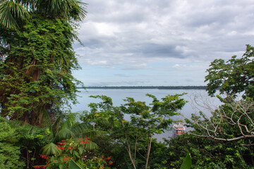 Vista do rio amazonas através da floresta