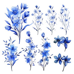 Set of blue floral watecolor. flowers and leaves. Floral poster, invitation floral. Vector arrangements for greeting card or invitation design