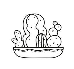 succulents house plant on pot. Hand drawn doodle outline vector illustration.
