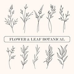 flower and leaf botanical line art and doodle illustration.
