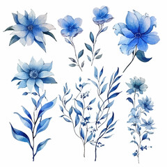 Set of blue floral watecolor. flowers and leaves. Floral poster, invitation floral. Vector arrangements for greeting card or invitation design