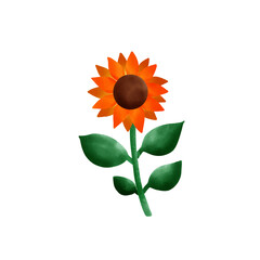 sunflower isolated on white