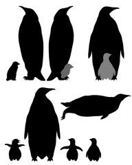 Emperor penguin with cub in silhouette image