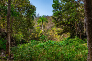 Hike near Trinidad along the Rio Guanayara and through the fields to the waterfalls