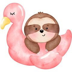 Cute sloth, baby sloth, summer, beach, animal